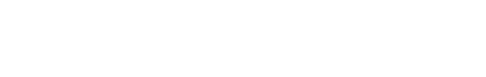 nostro furniture logo